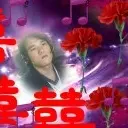 小鱼儿你来了