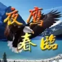夜鹰￥春临