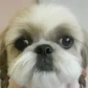 ♏♥╭♚穷格格