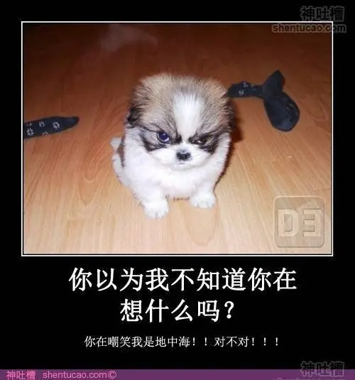 无声沉默的主播照片