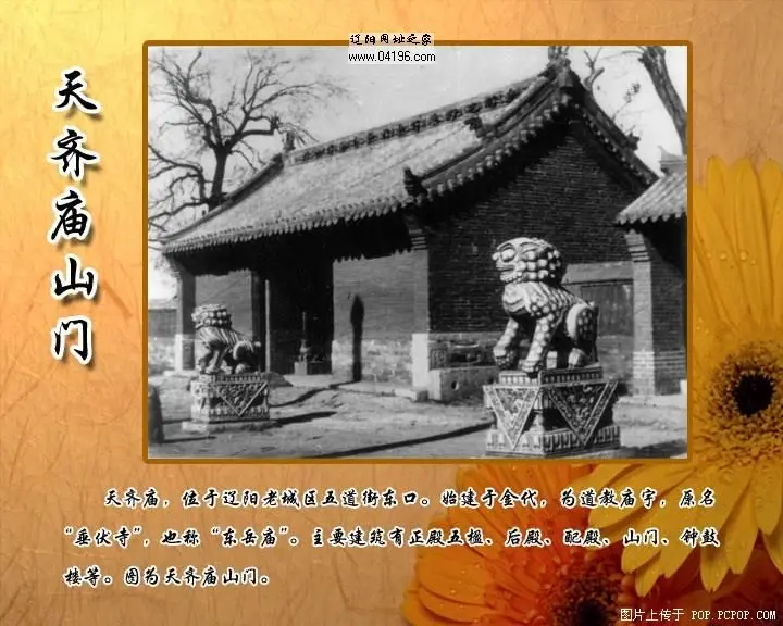 贾平安的主播照片