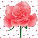 ๑۩亲爱的۩