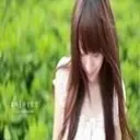 玫瑰依依