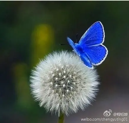 你这个の冷的主播照片