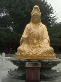 v明哥仔v的图片