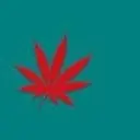 Sweet丶靈楓