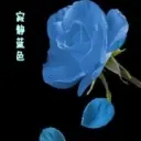 蓝色的悸动