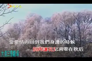当爱情离开的时候 王麟 最新网络流行歌曲 伤感歌曲MV（清晰）_960x640_200M_h264